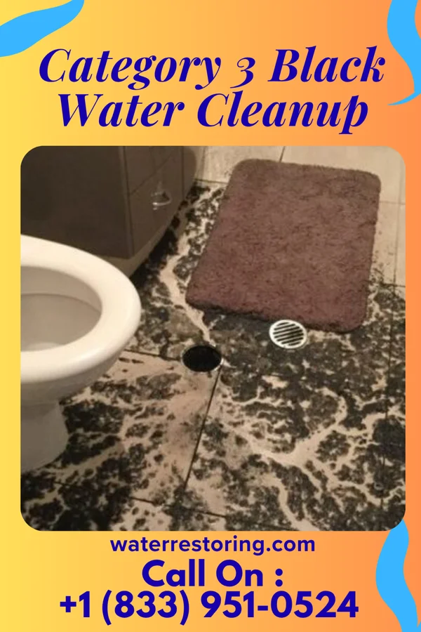 Category 3 Black Water Cleanup in Lawrenceville, PA