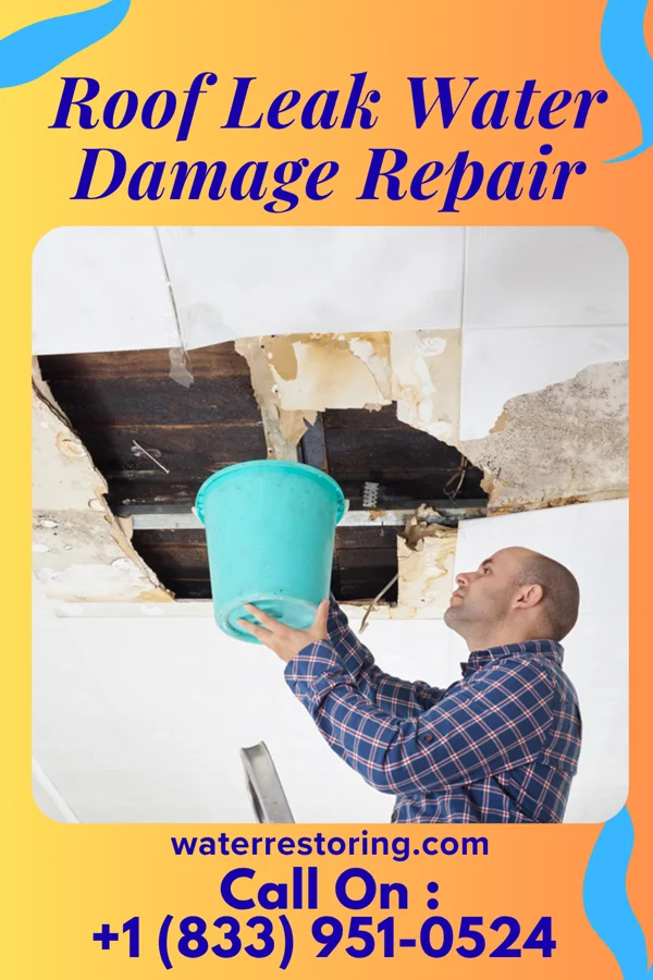 Roof Leak Water Damage Repair in Lawrenceville, PA