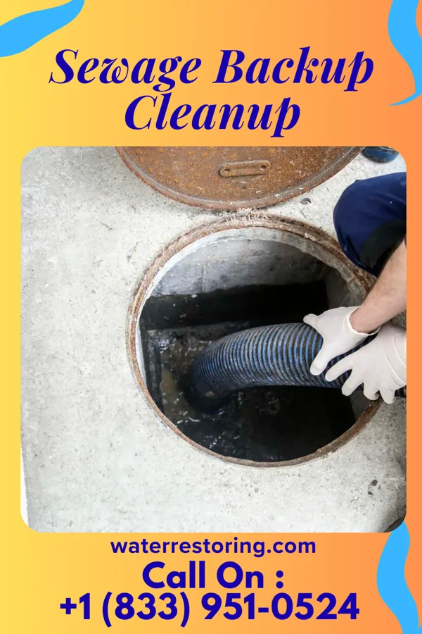 Sewage Backup Cleanup in Lawrenceville, PA