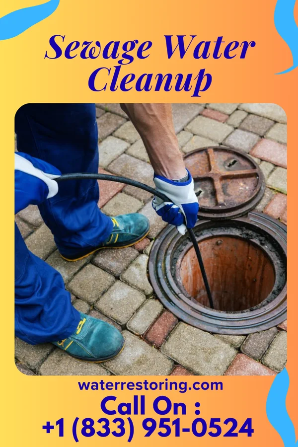 Sewage Water Cleanup in Lawrenceville, PA