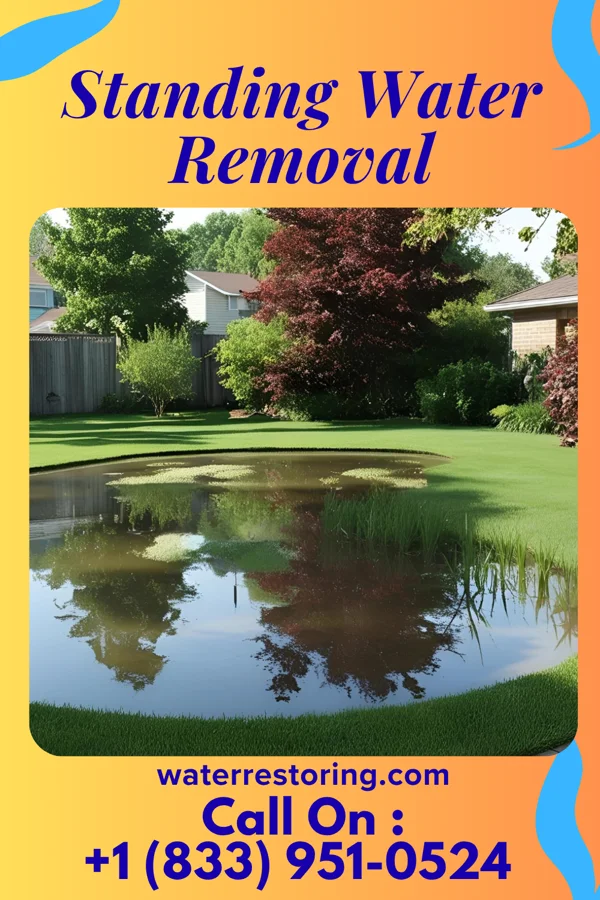 Standing Water Removal in Lawrenceville, PA